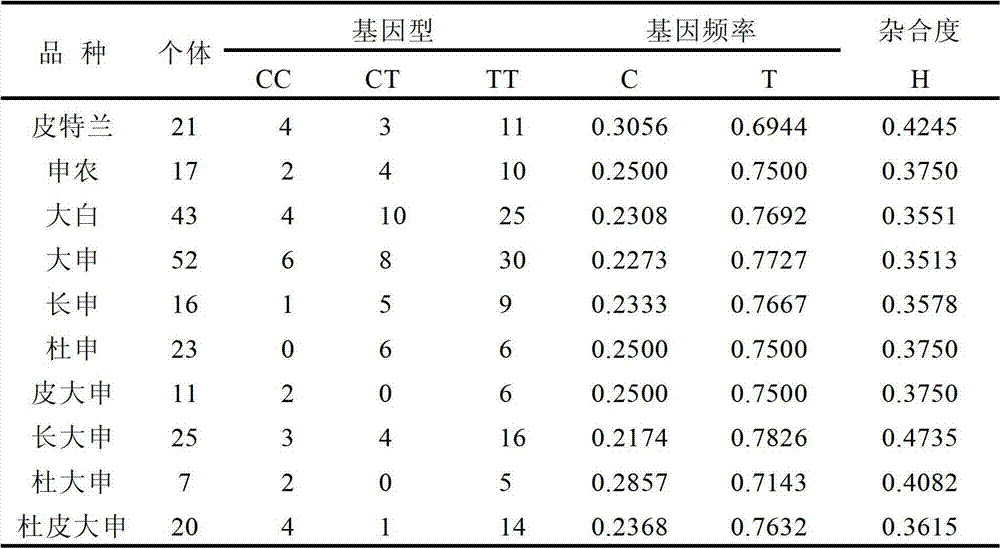 SNP molecular marker in porcine AMY2 gene for tracing and detection method thereof