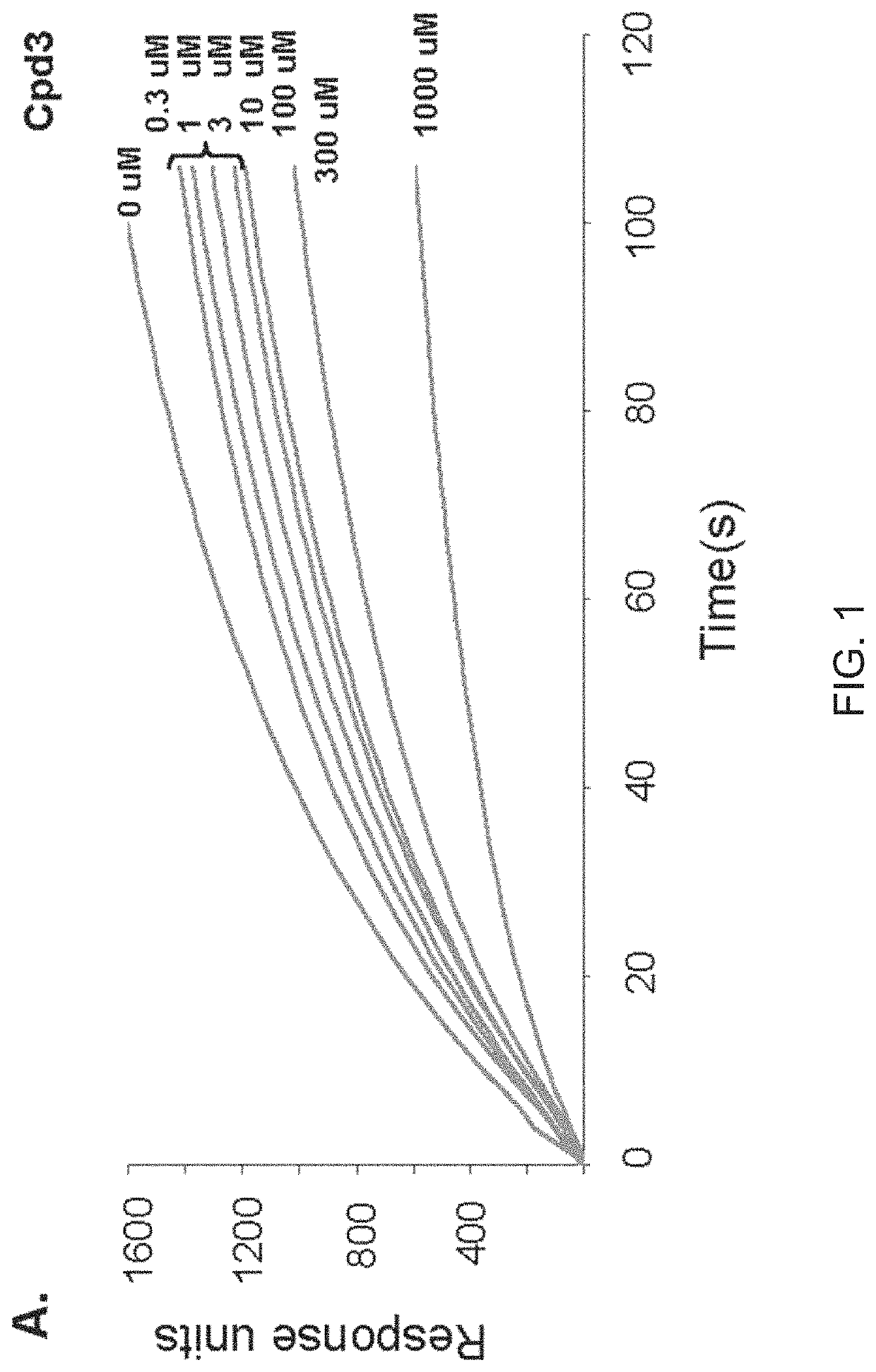 Methods and compositions for treatment of muscle wasting, muscle weakness, and/or cachexia