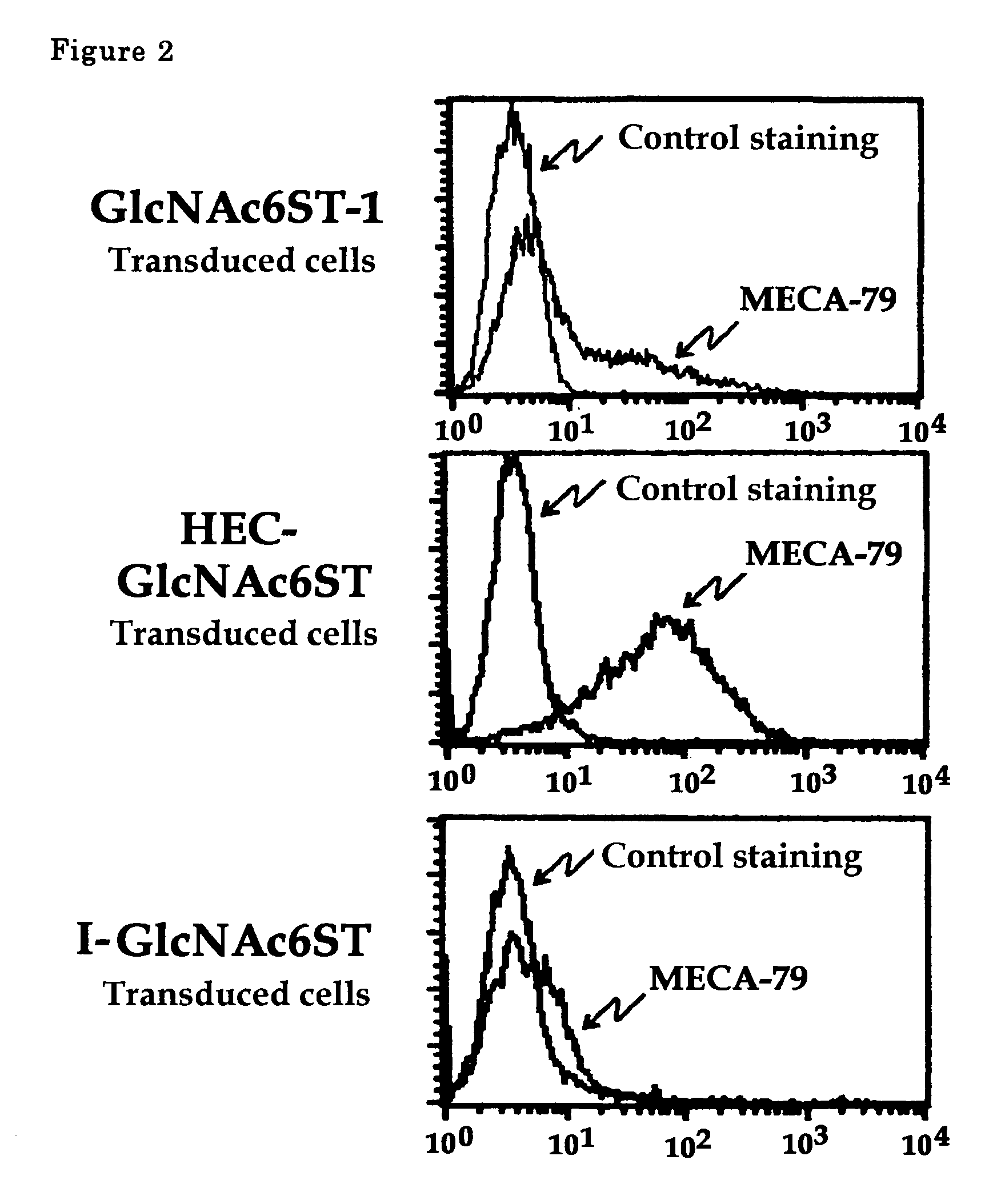 Method of examining colon cancer and colon adenoma