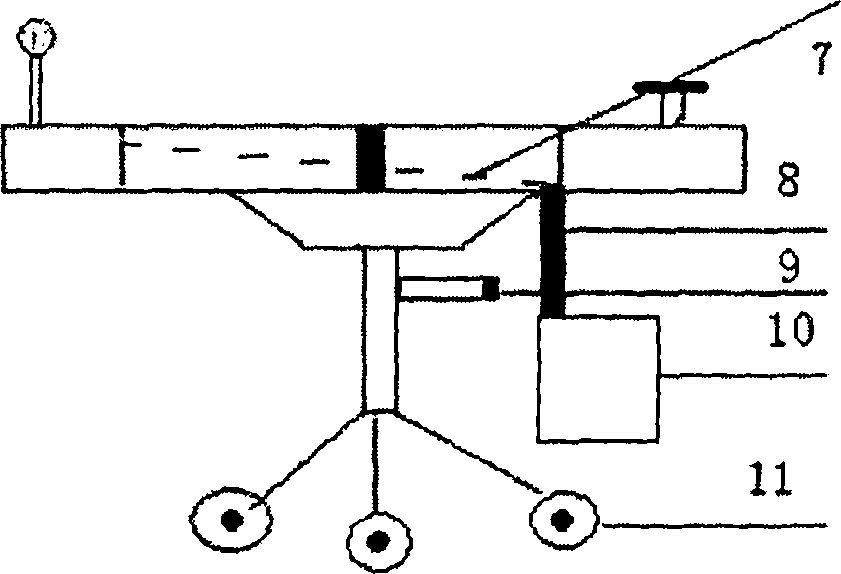 Suspensible lifting combined sheep teaching dissecting table