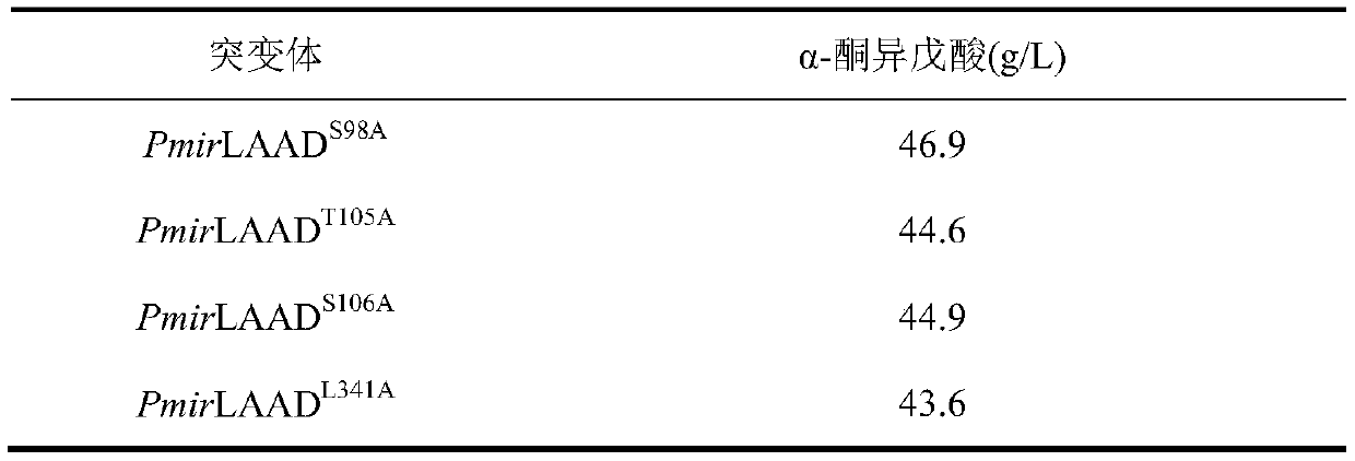 Preparation and application of L-amino acid deaminase mutant