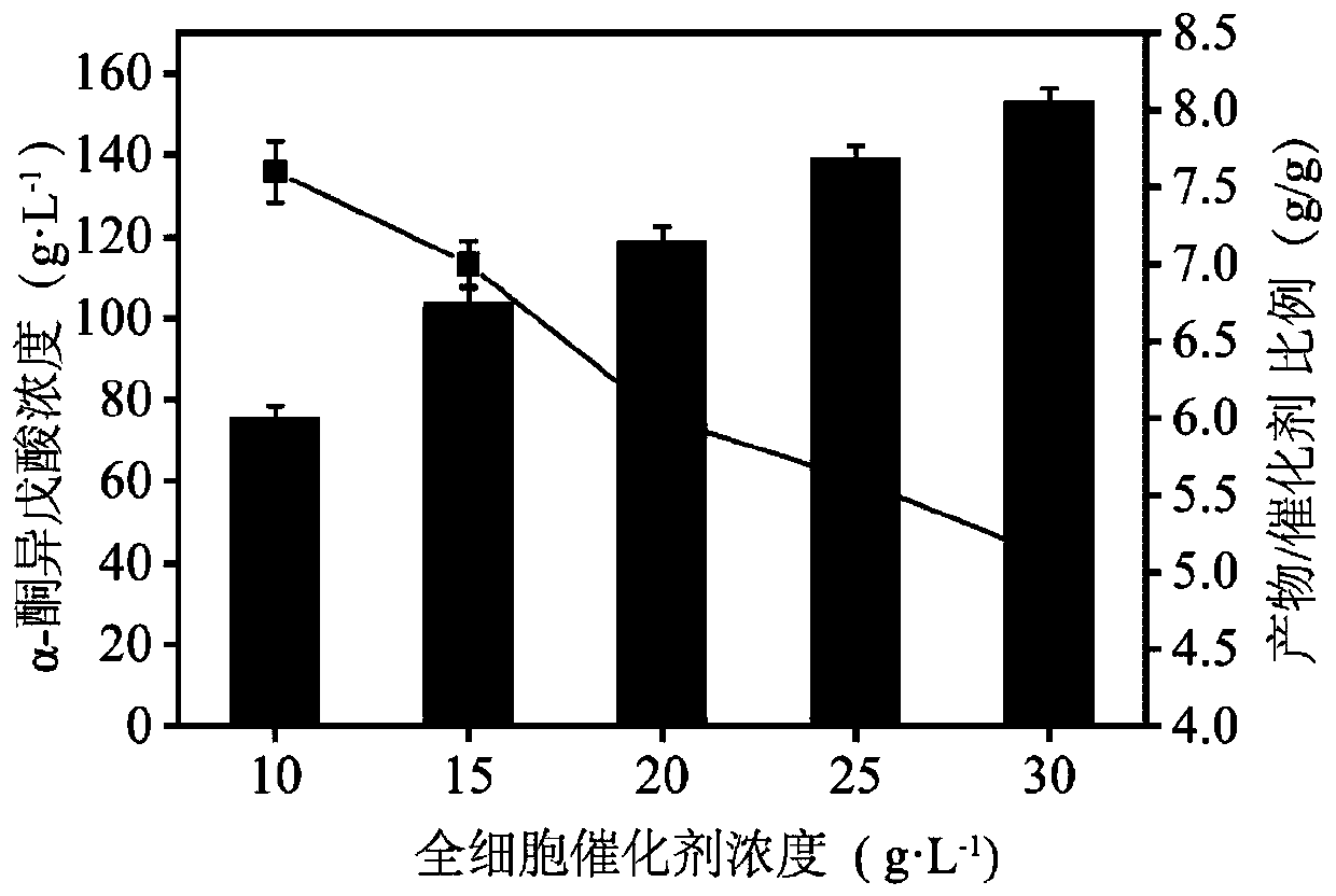 Preparation and application of L-amino acid deaminase mutant