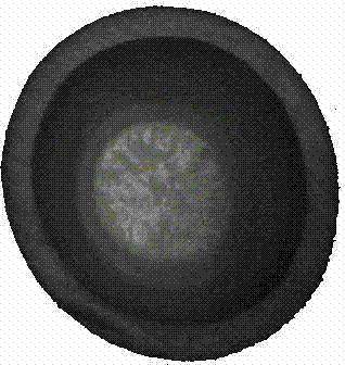 Method and device for measuring bamboo tube diameter based on digital image processing technology