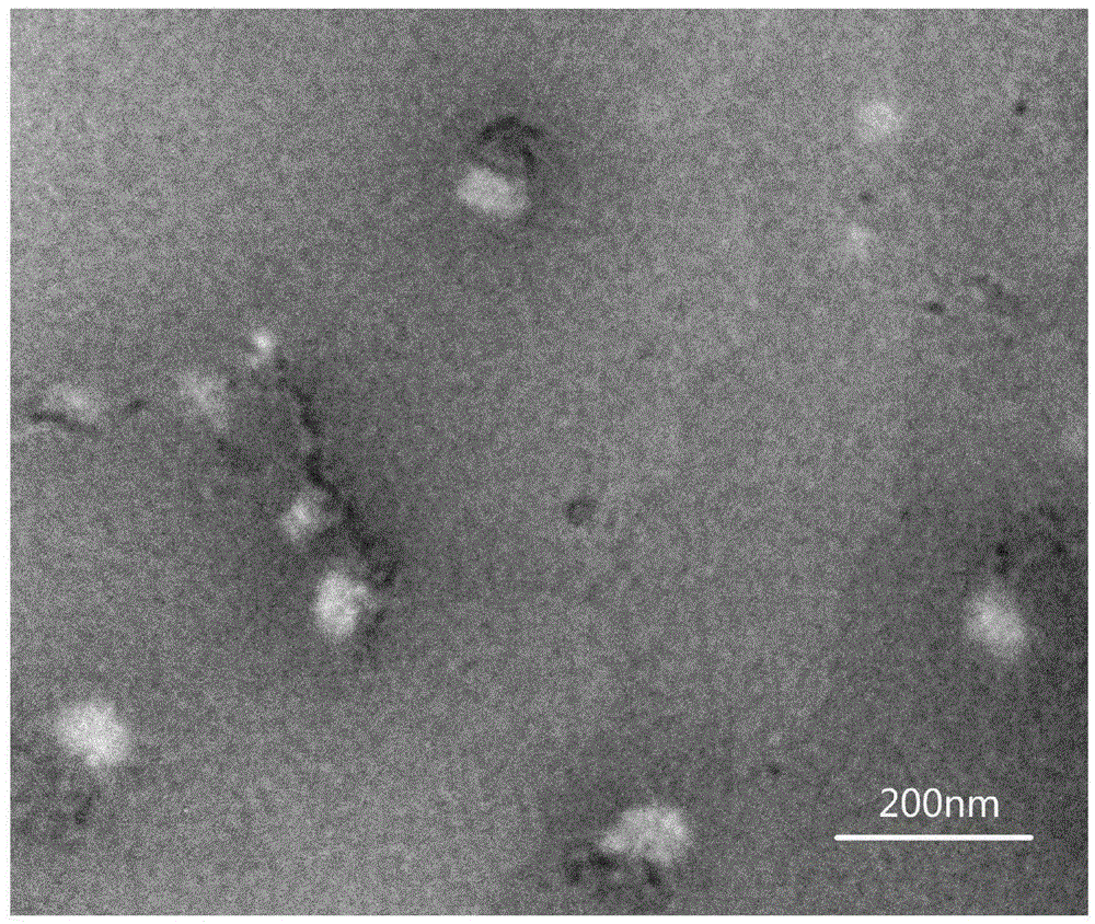 A kind of wedelia lactone nano-liposome jointly modified with chitosan and polyethylene glycol and preparation method thereof