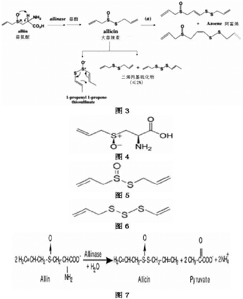 Low-temperature air-isolated allicin production apparatus and usage method thereof