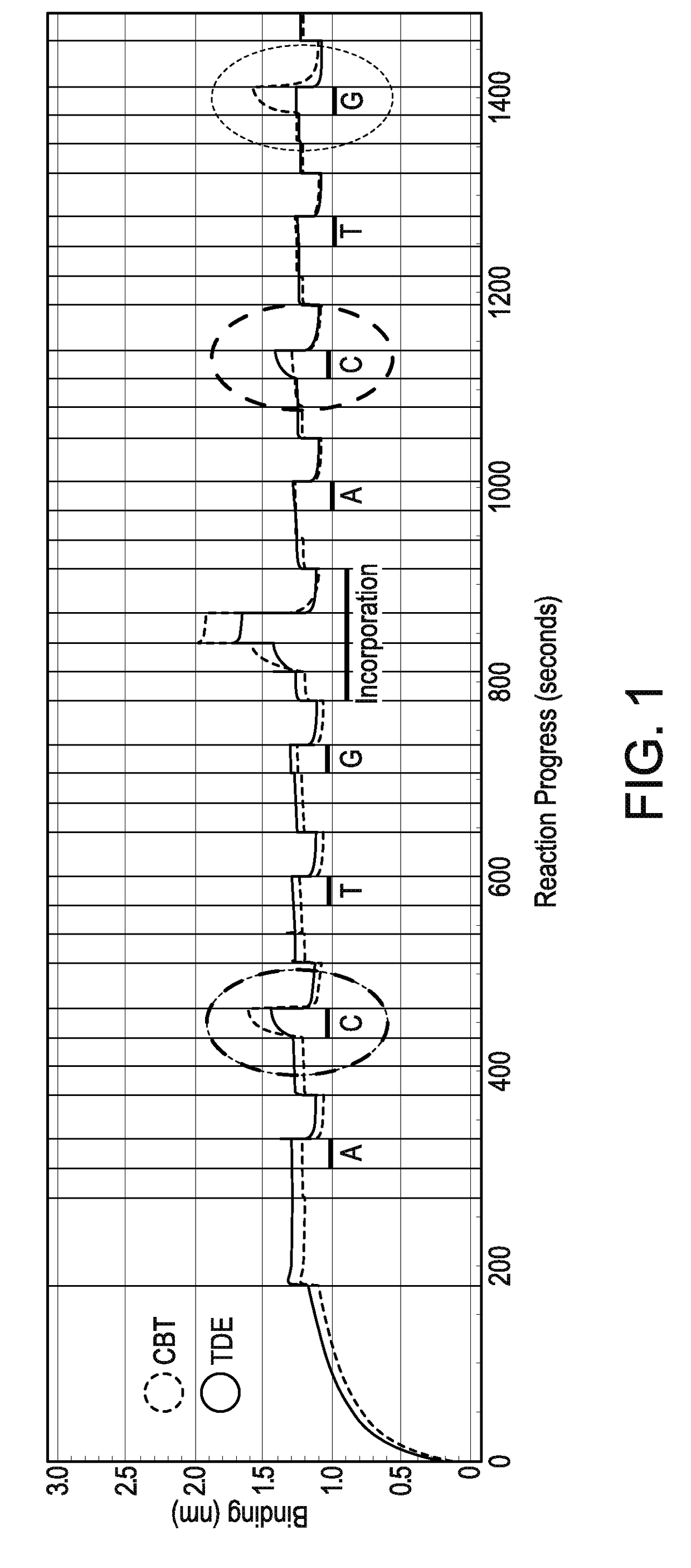 Method of nucleic acid sequence determination