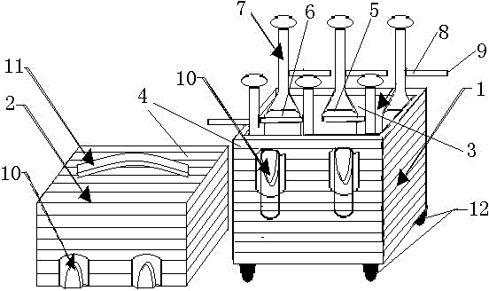 Portable water sample fixative feeding device