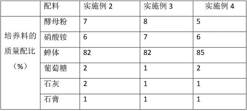 Agaricus subrufescens stock seed culture material and production method thereof