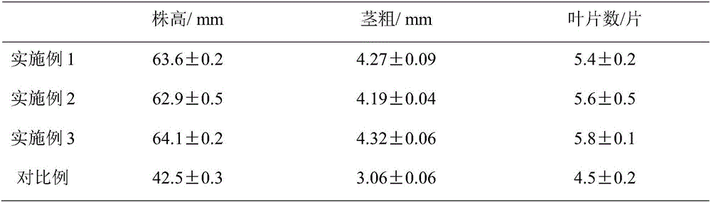 Selenium-rich watermelon seedling substrate and preparation method thereof