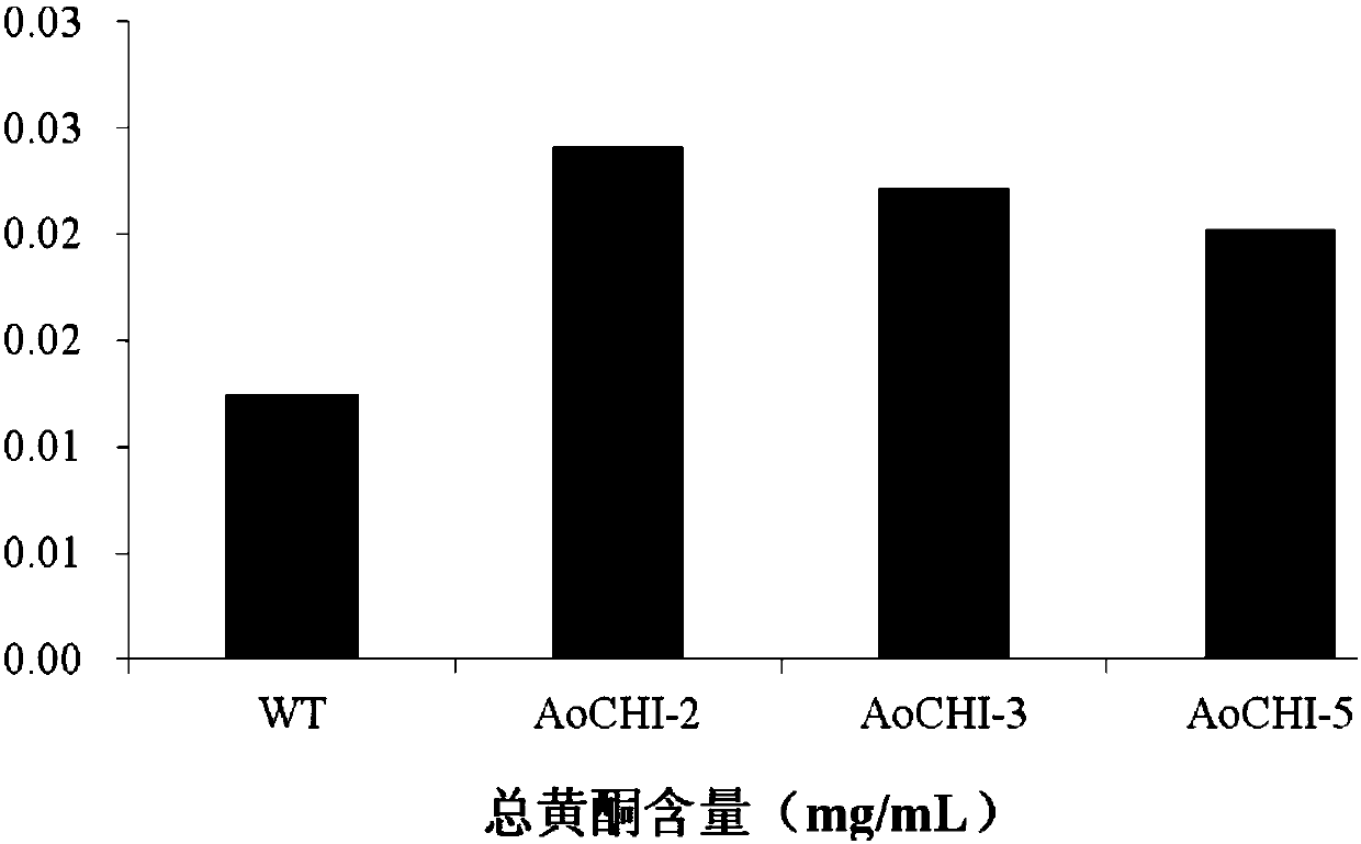 Asparagus Chalcone Isomerase Gene, Its Encoded Protein and Its Application