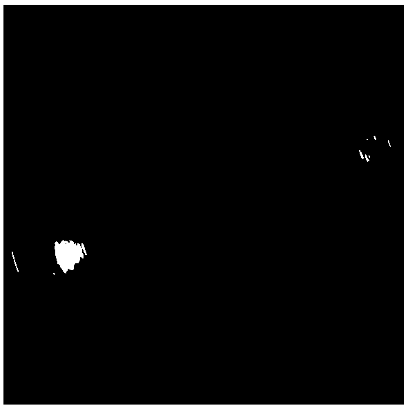 Nanofiber molecularly imprinted membrane with high selectivity for putrescine and preparation method thereof