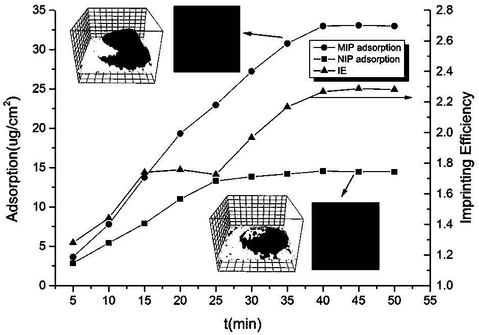 Nanofiber molecularly imprinted membrane with high selectivity for putrescine and preparation method thereof