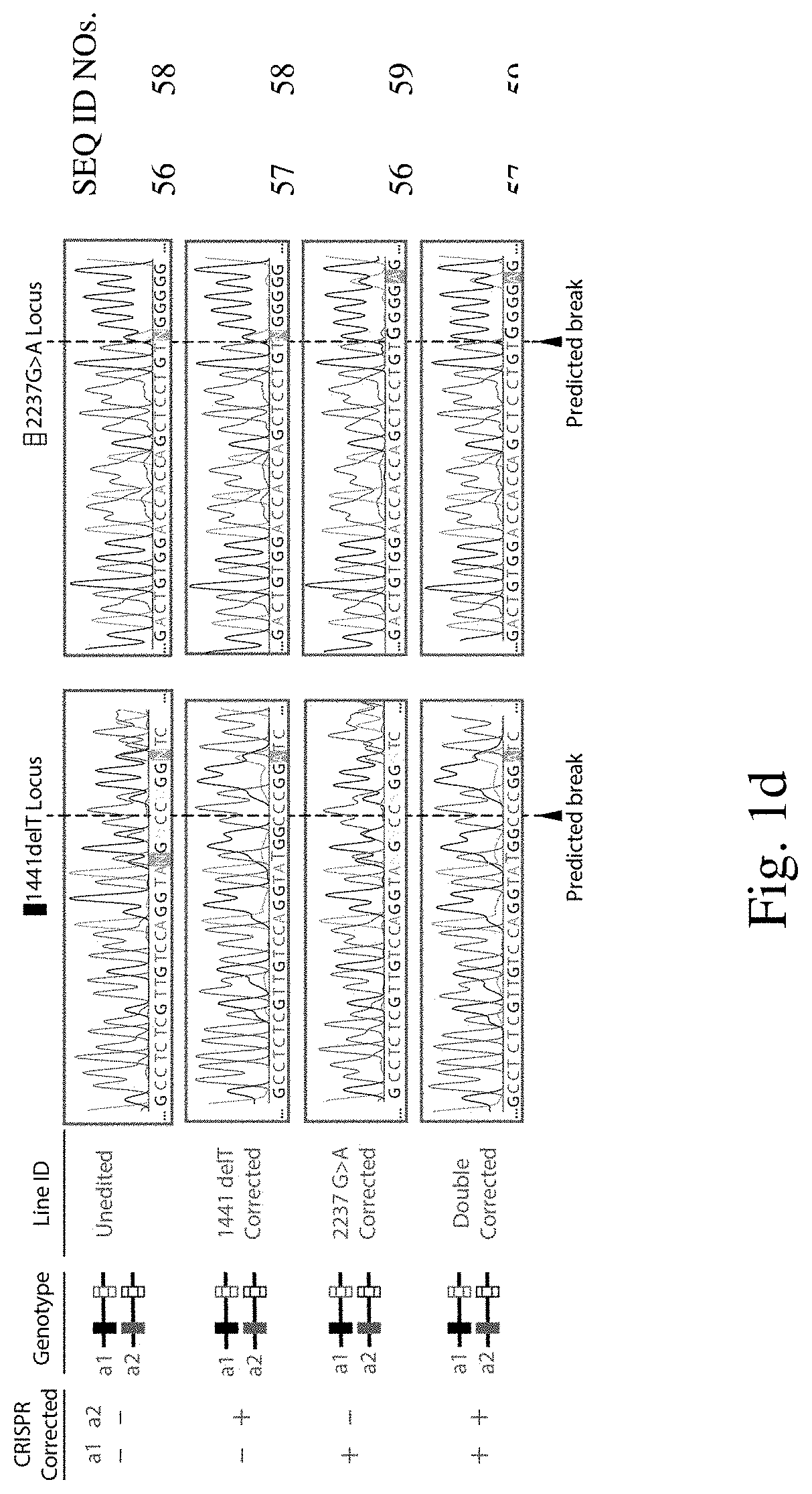 Gene correction of pompe disease and other autosomal recessive disorders via rna-guided nucleases