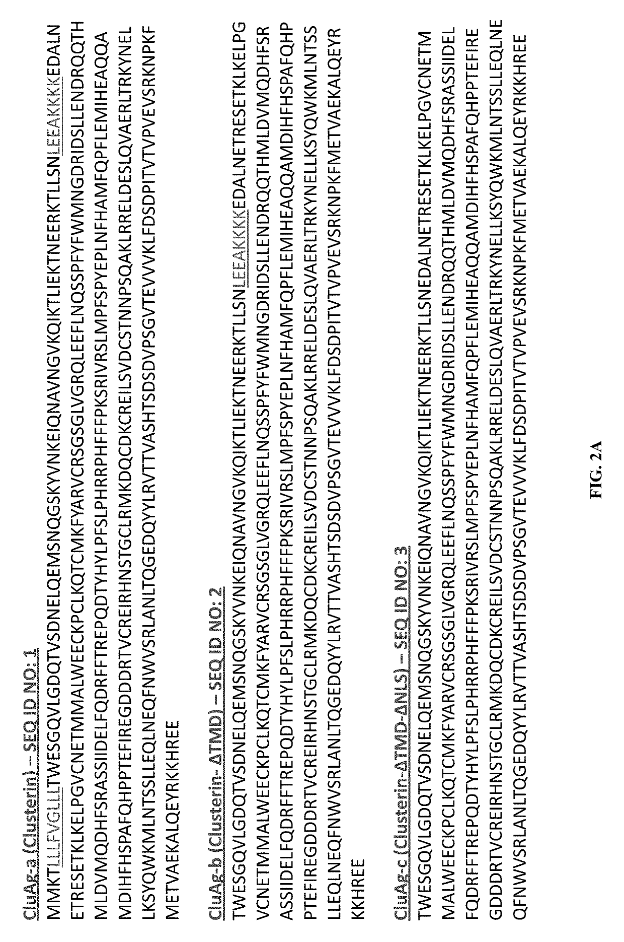 Recombinant clusterin and use thereof in the treatment and prevention of disease