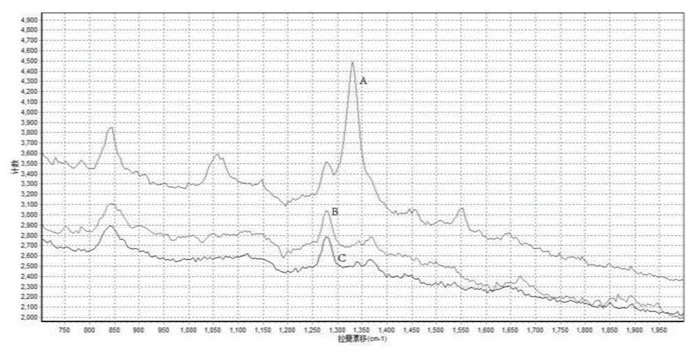 SERS-based newcastle disease virus detection kit and detection method thereof