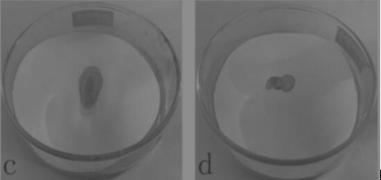 Nanocrystalline antibacterial packaging paper and preparation method