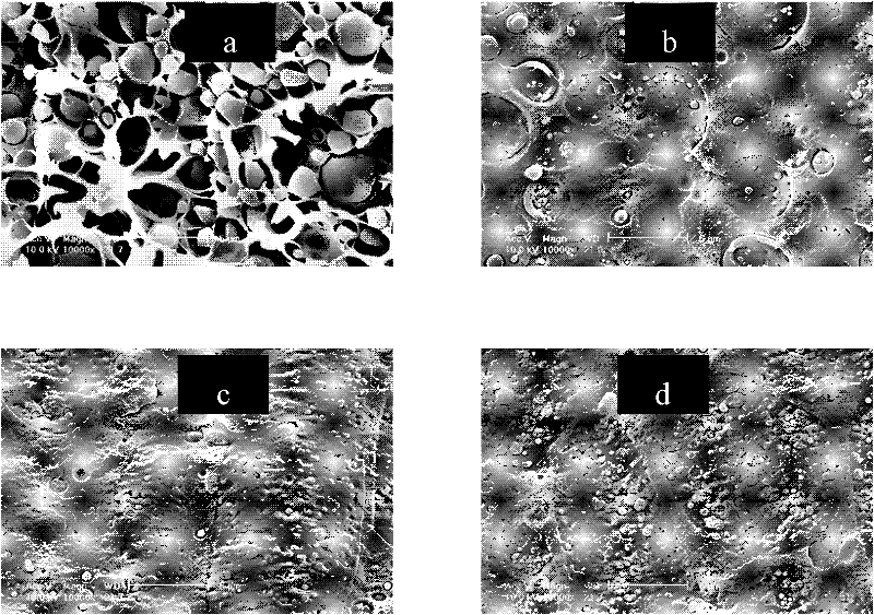 Polylactic acid/ polyamide 11 alloy material