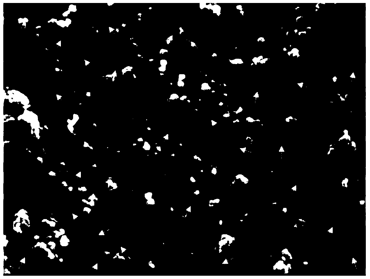 Preparation method of oral implant material, implant material and application