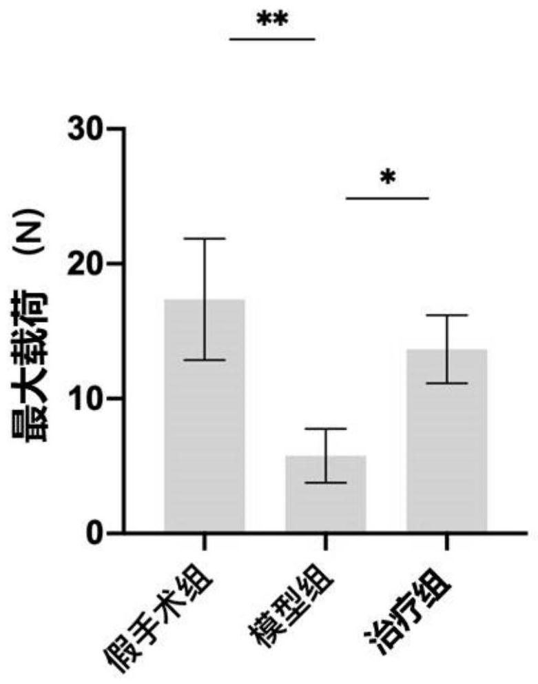 Application of recombinant I-type humanized collagen in pelvic floor repair