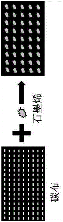 Flexible wearable electrode and preparation method therefor