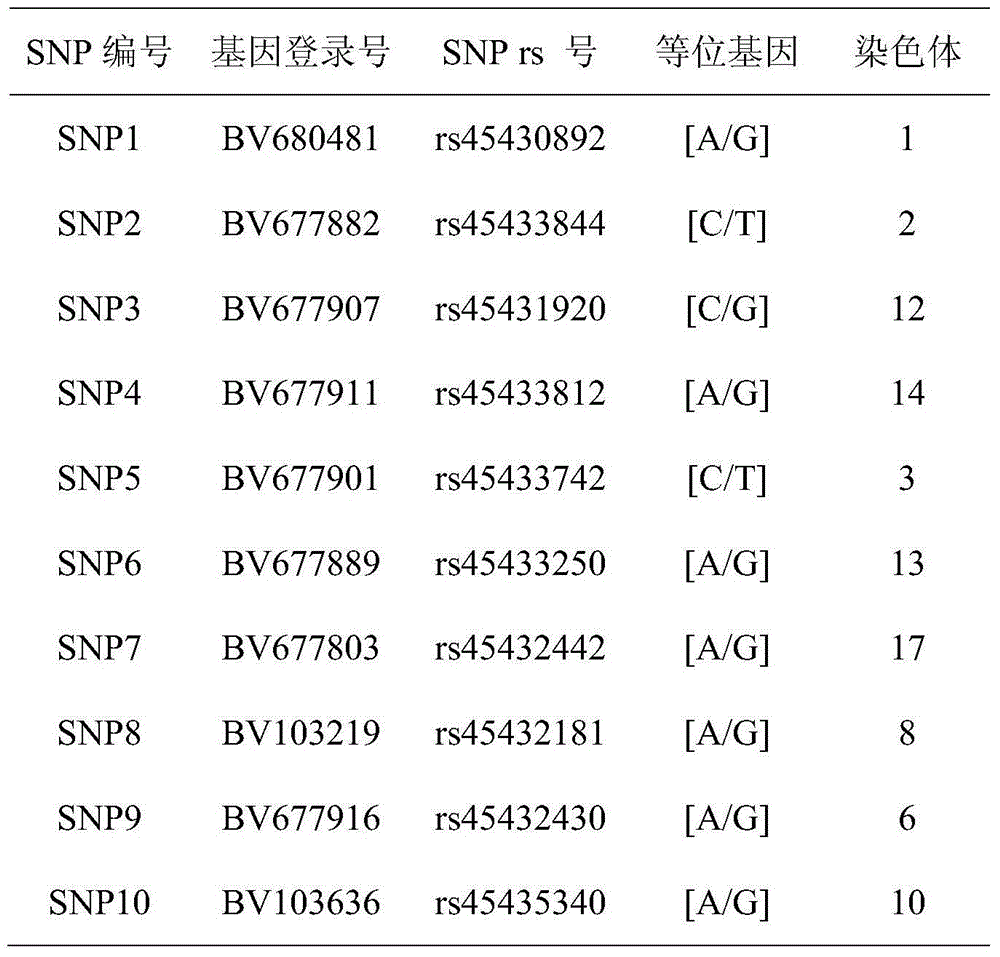 Single nucleotide polymorphism (SNP) molecular markers and method for pork DNA tracing by high resolution melting (HRM) method