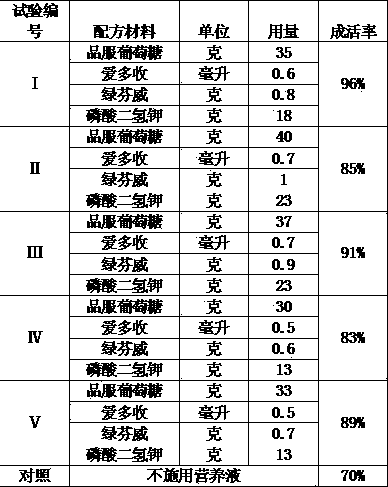 Nutrient solution for improving transplanting survival rate of Chinese torreya