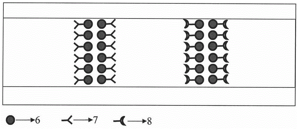 Microstructure fiber biochip and manufacturing method thereof