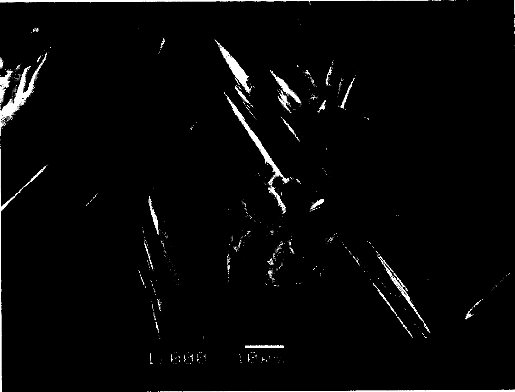 Method for preparing carboxyl apatite coating by single-chamber sacrificial anode hydrothermal synthesis