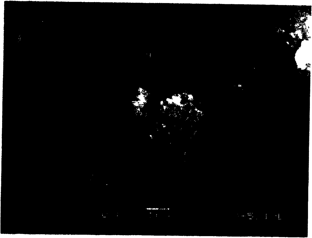 Method for preparing nano-scale lithium carbonate for battery