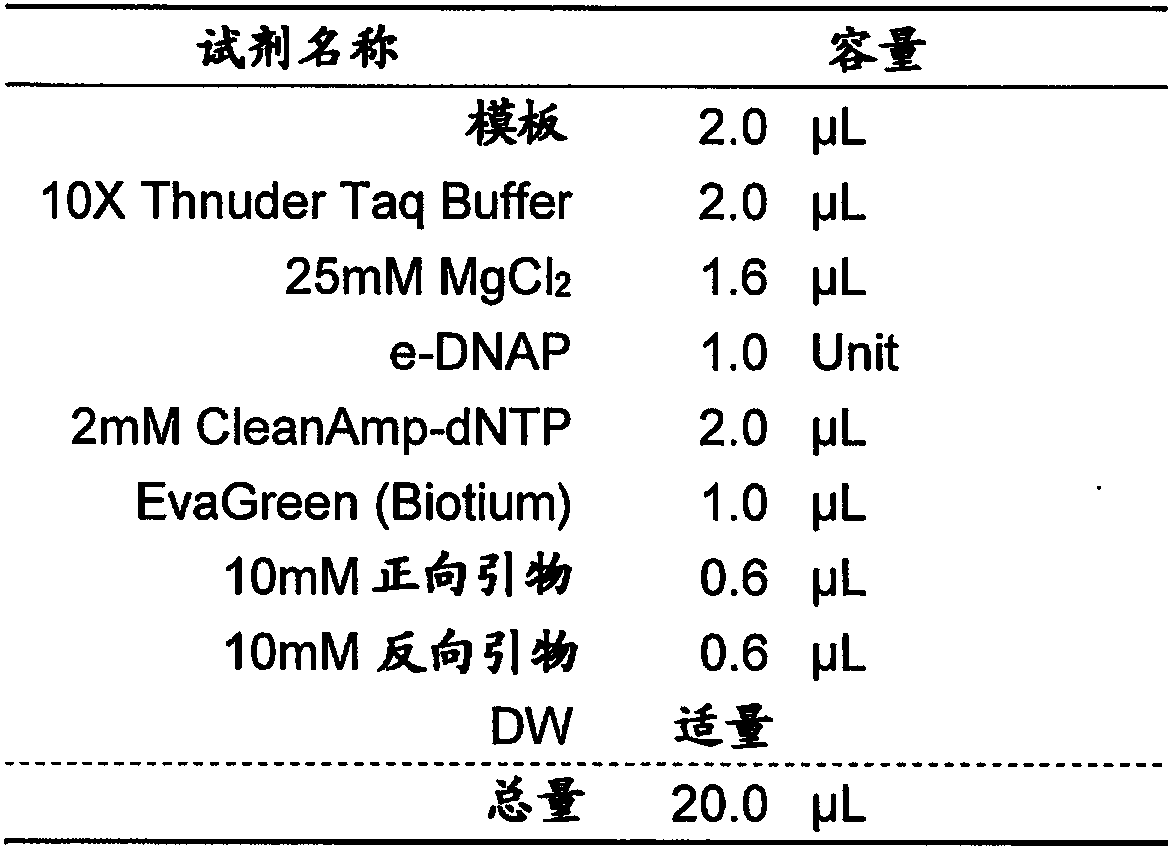 mecA GENE AMPLIFICATION PRIMER PAIR, mecA GENE DETECTION KIT AND mecA GENE DETECTION METHOD