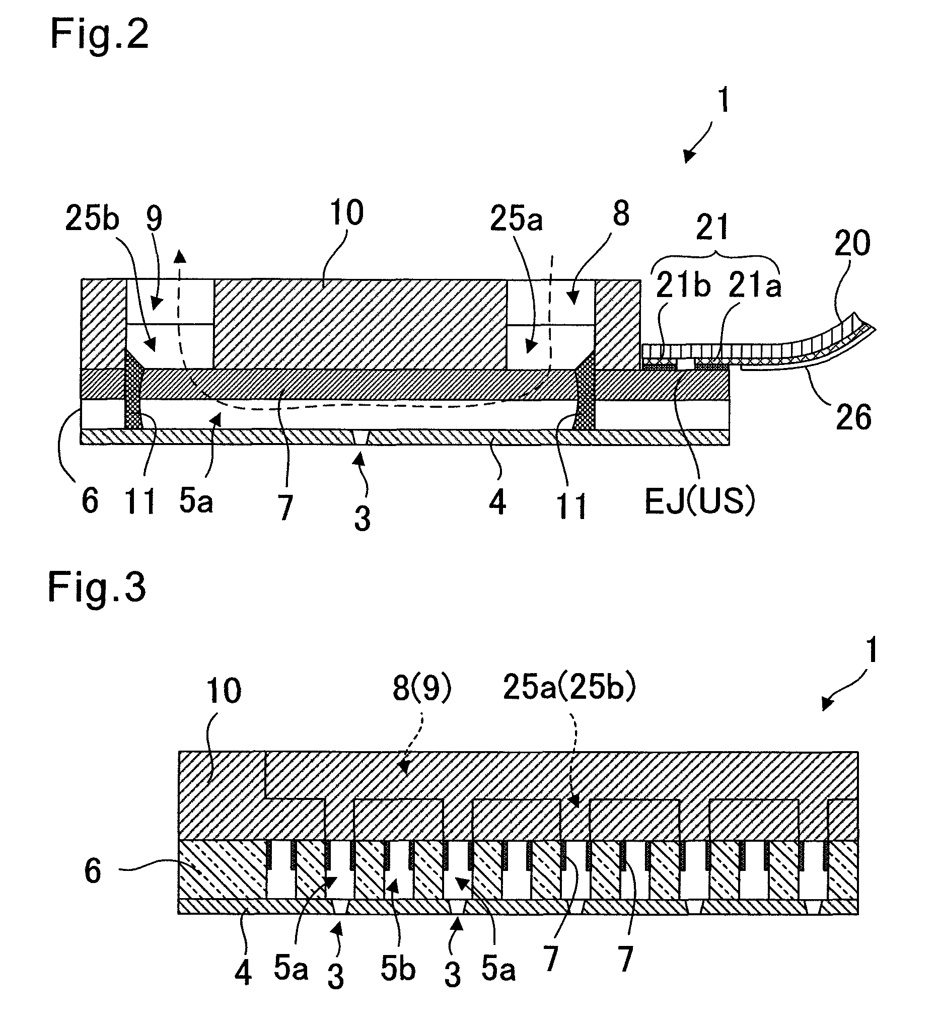 Liquid jet head, liquid jet apparatus, and method of manufacturing liquid jet head