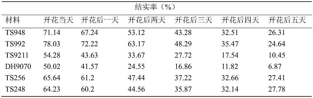 Method for rapidly determining vitality of rice stigma