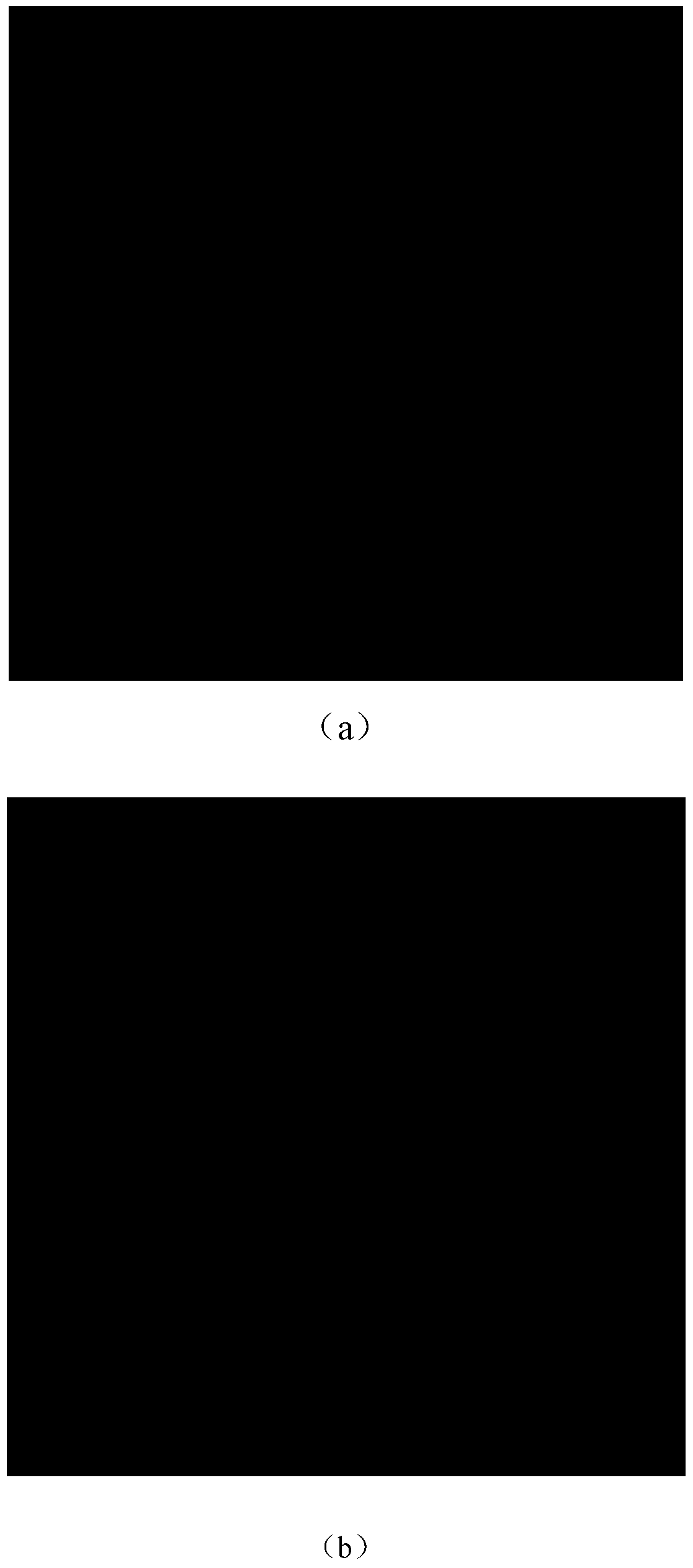 Polarized SAR Image Classification Based on Deep Adaptive Ridgelet Network