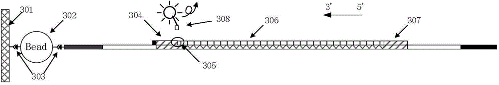 High-flux STR sequence core replication number detection method