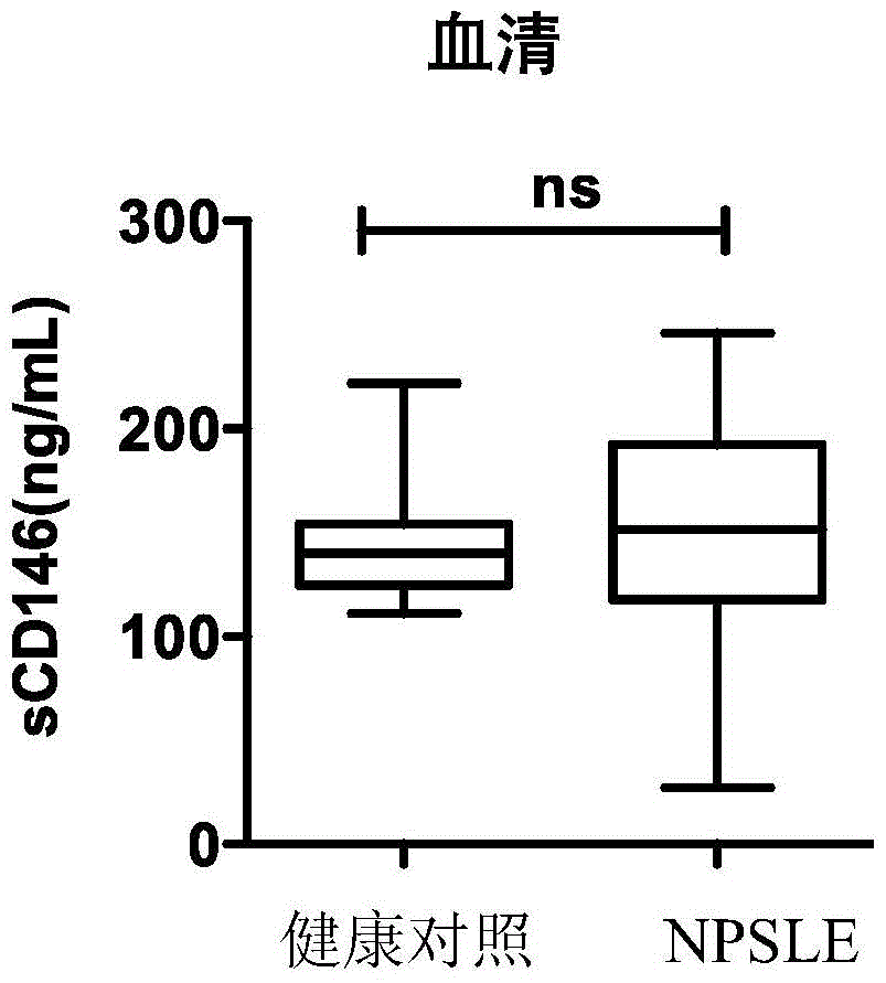 Use of cd146 as a molecular marker in the diagnosis, staging or prognosis of neuropsychiatric lupus