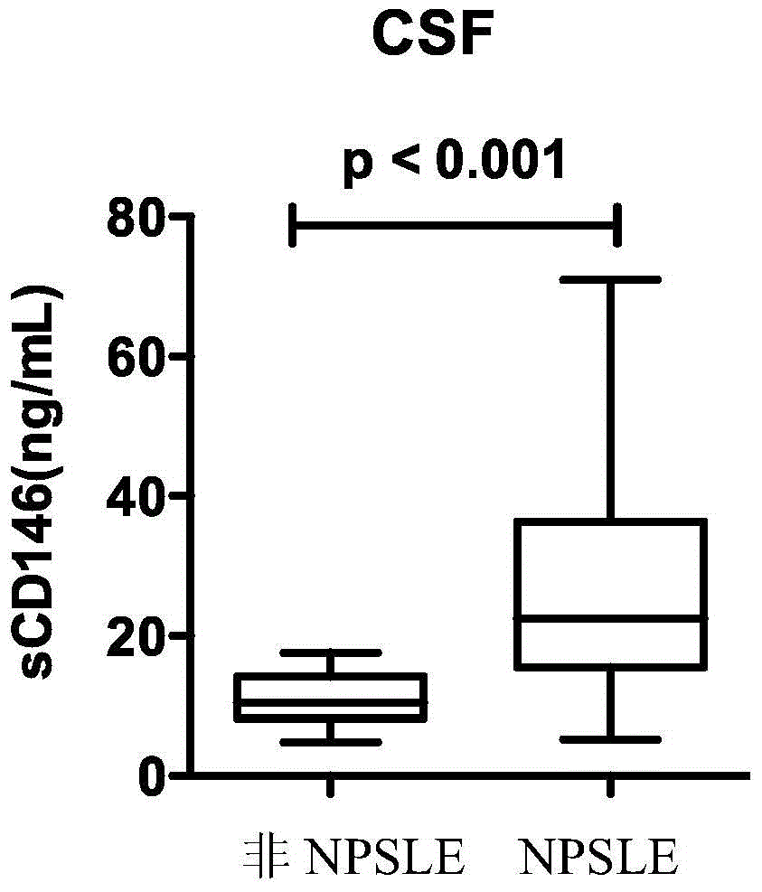 Use of cd146 as a molecular marker in the diagnosis, staging or prognosis of neuropsychiatric lupus