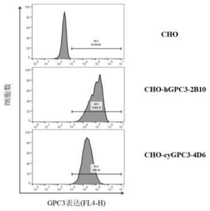 Development and application of novel tumor adapter therapeutic drug