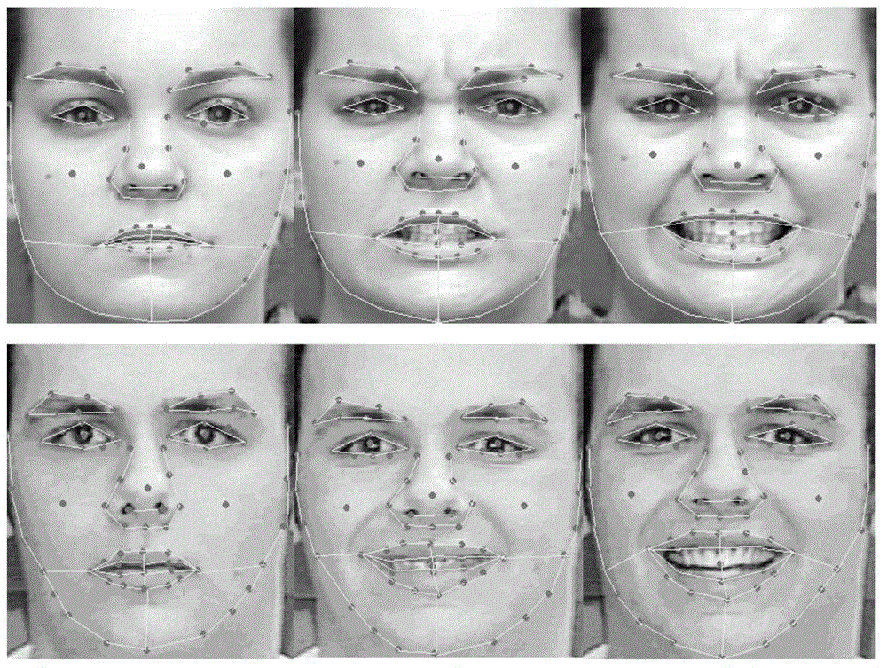 Facial expression recognition method based on rough set and mixed features