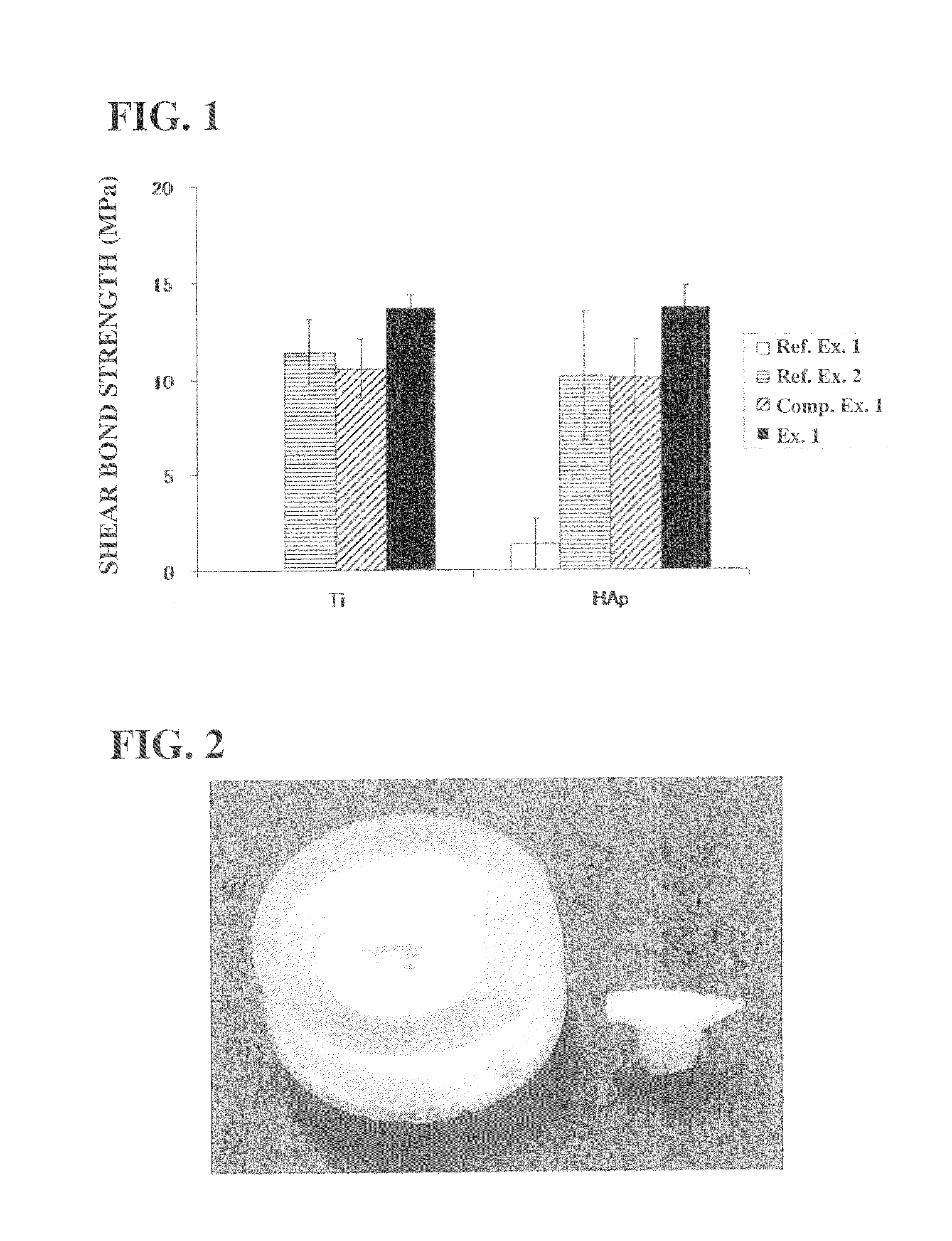 Kit for adhering biological hard tissues