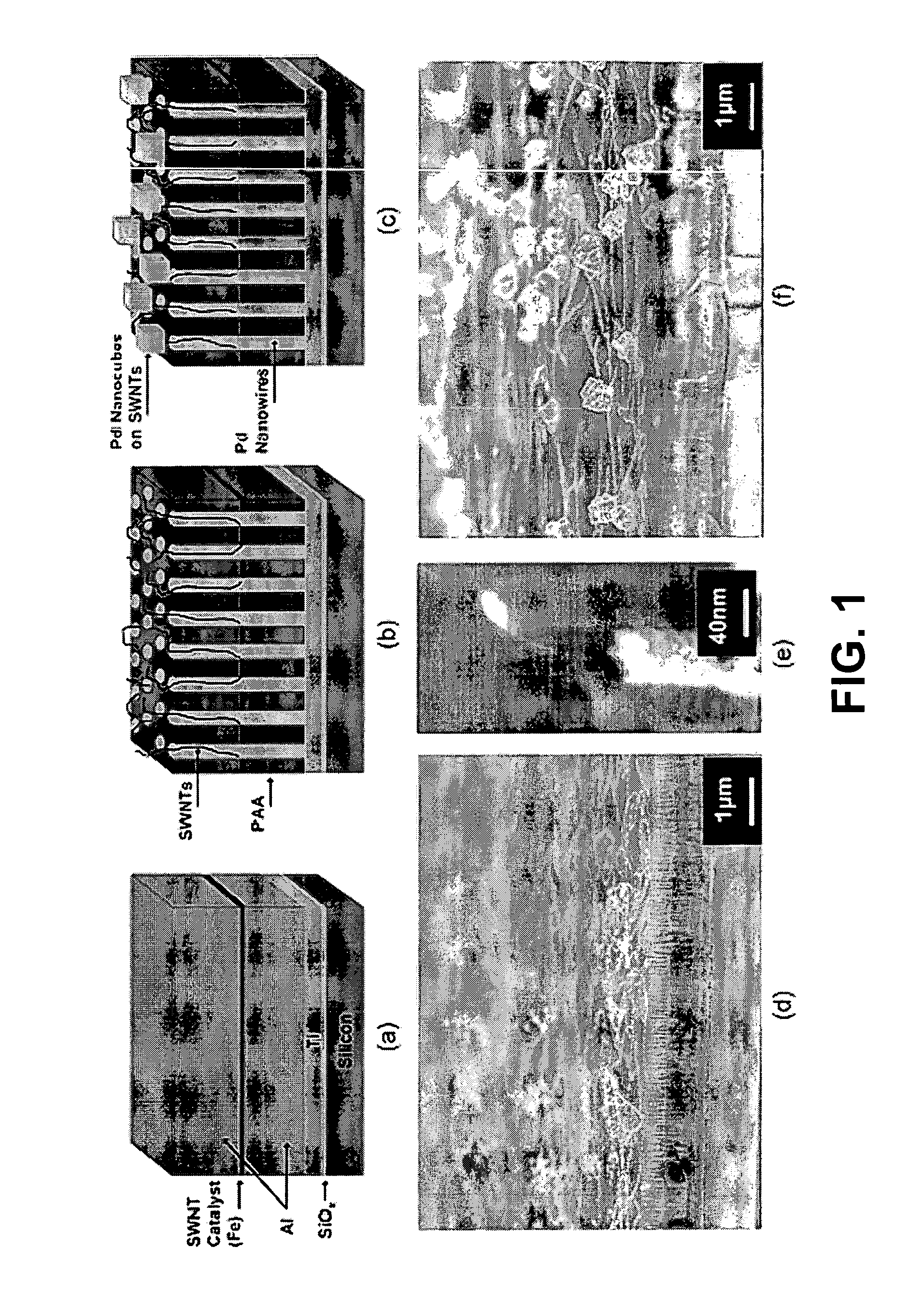 Contact metallization of carbon nanotubes