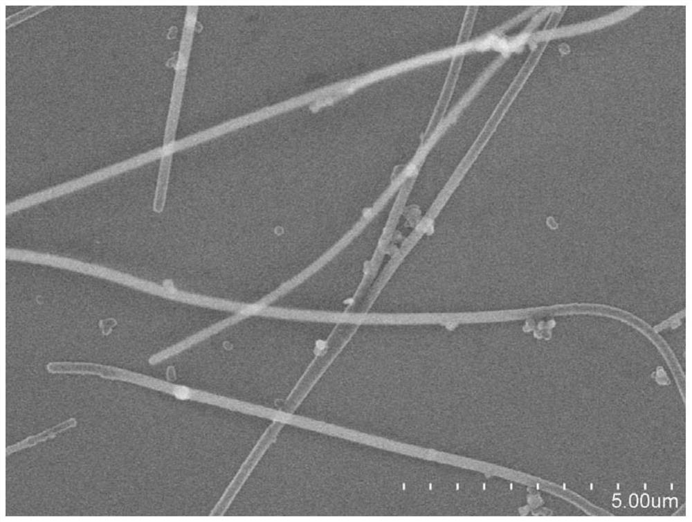 A kind of highly conductive carbon material and preparation method thereof