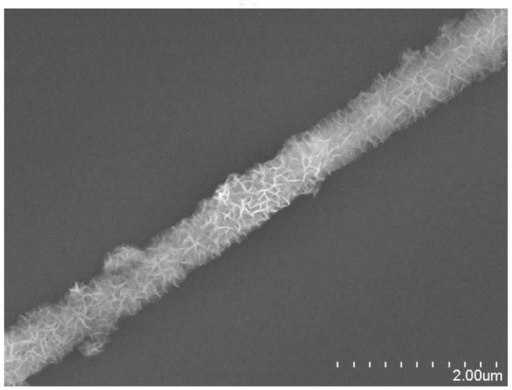 A kind of highly conductive carbon material and preparation method thereof