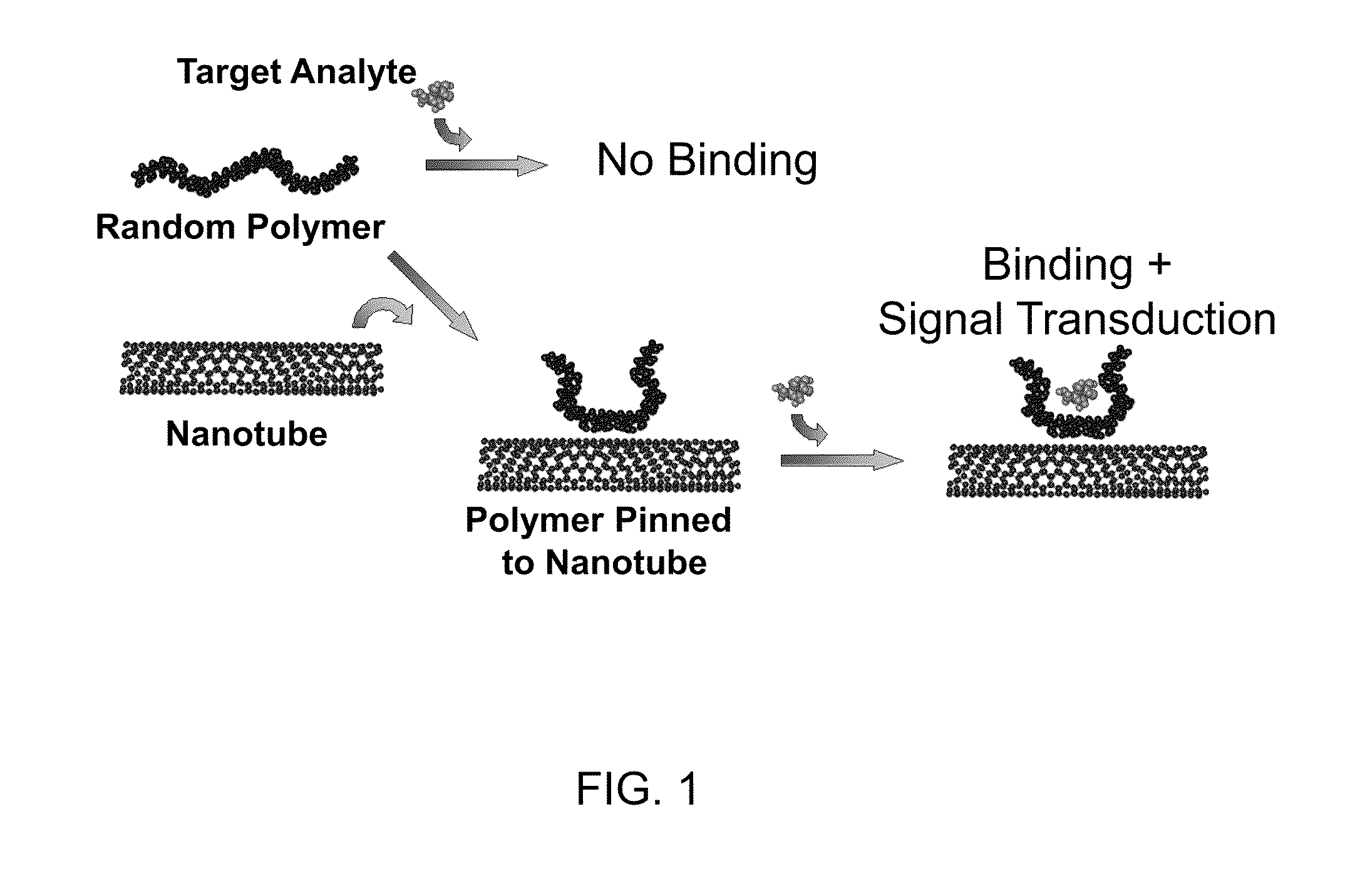 Polymer-nanostructure composition for selective molecular recognition