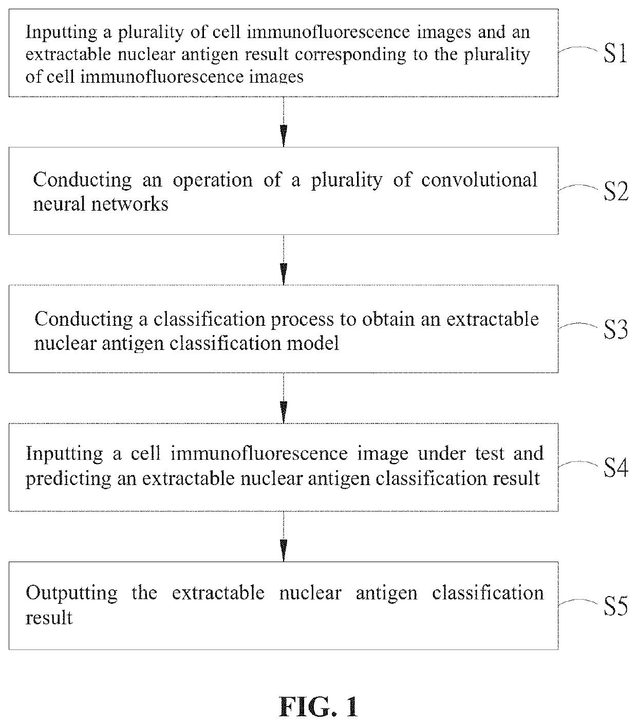 Classification system and classification method of autoantibody immunofluorescence image