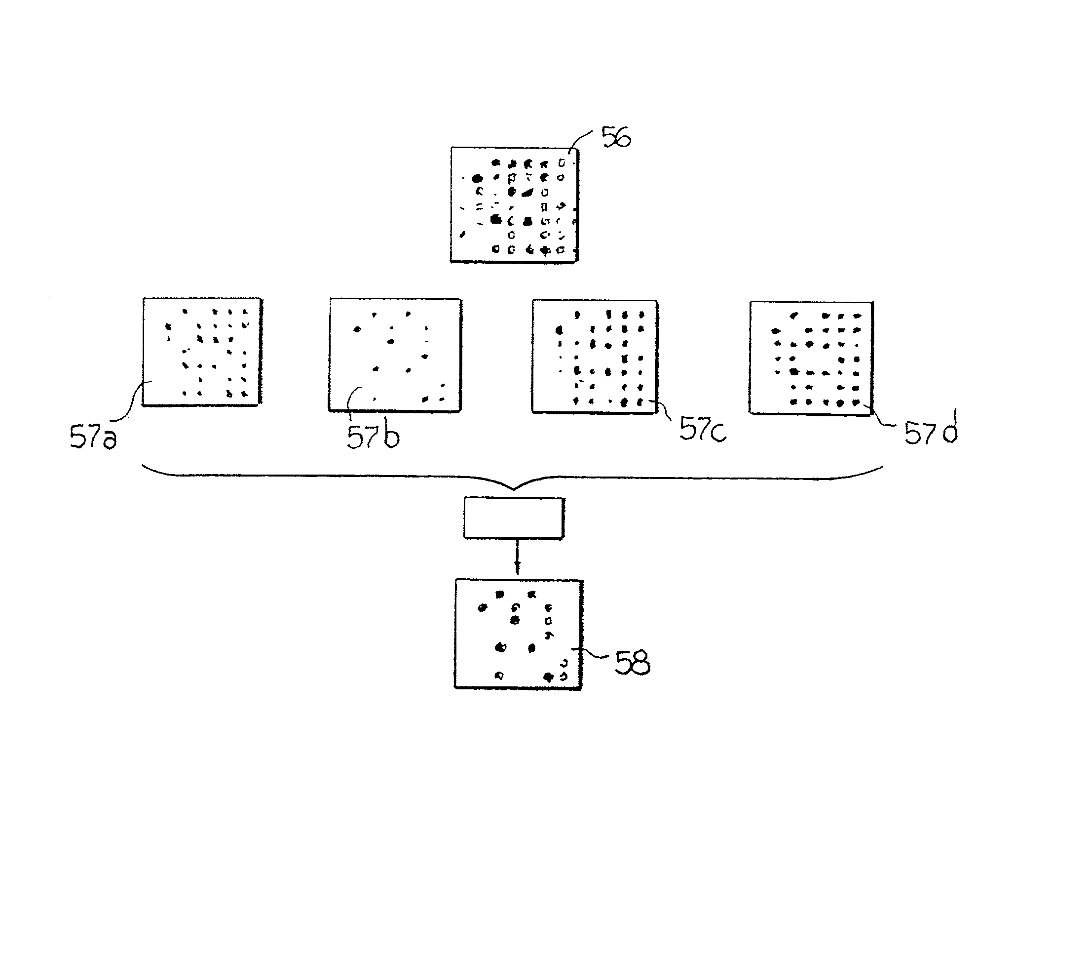 System for the automatic analysis of images such as DNA microarray images