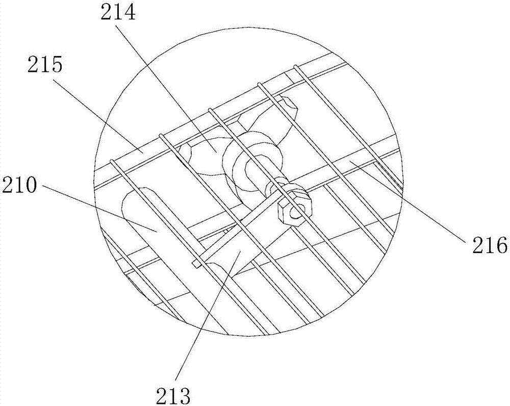 Conveying device and tuber crop harvester with conveying device