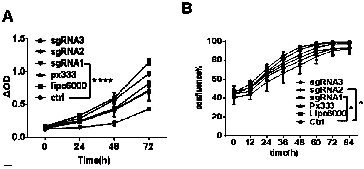 Application of Stat3, HBx and Stat3-HBx target CRISPR/Cas carriers to preparation of HBV-related liver cancer drugs