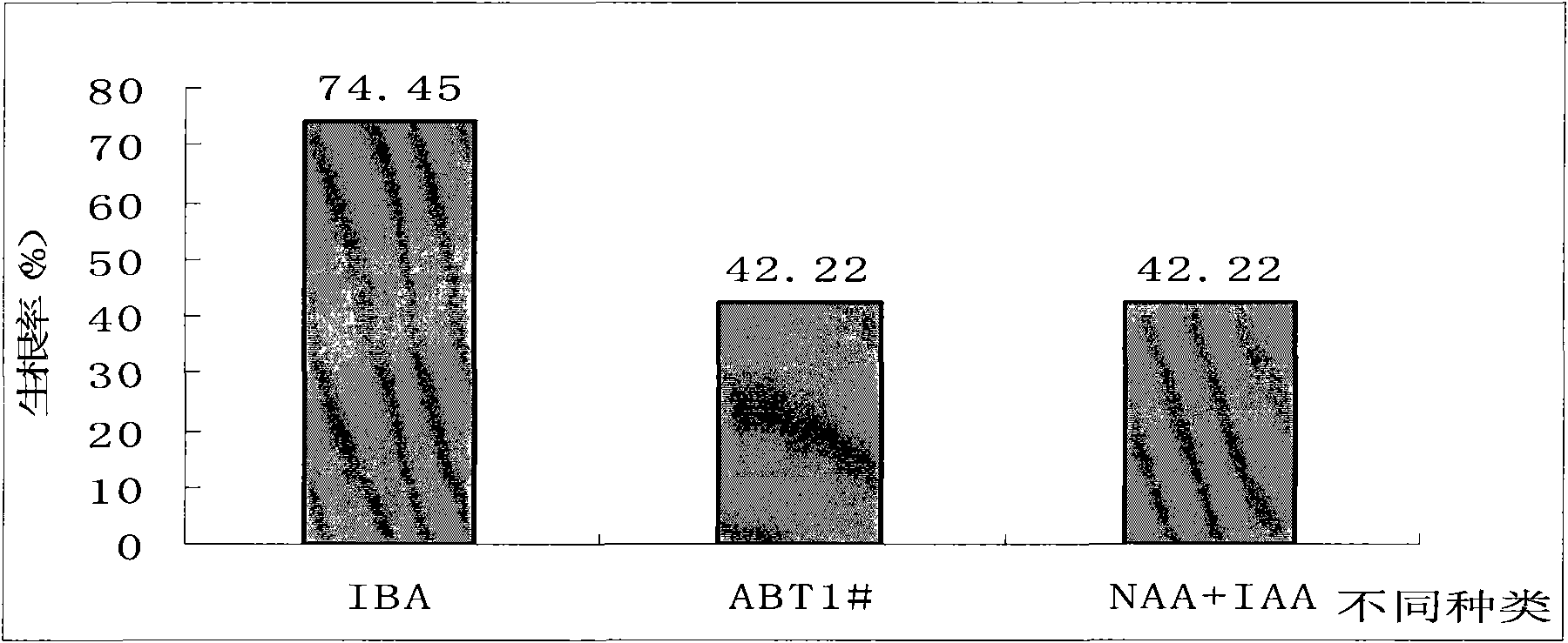 Cuttage propagation method of Juniperus media 'Pfitzeriana Aurea'