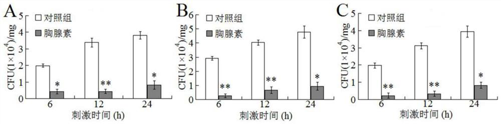 A kind of oval pompano β-thymosin and its application