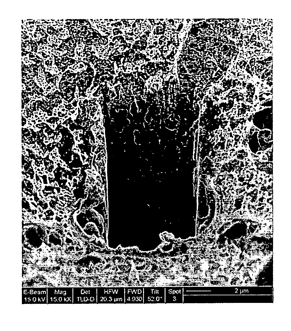 Method for providing resistance to biofouling in a porous support